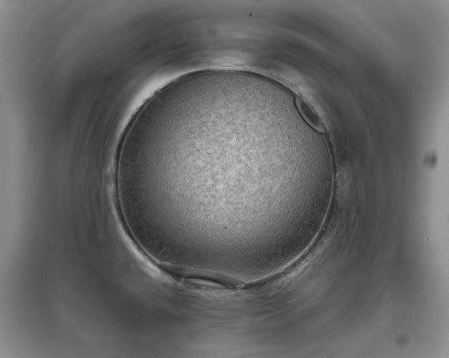 X0000097601432200803071421