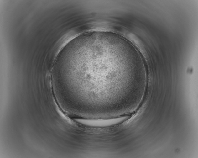 X0000097601433200803071421