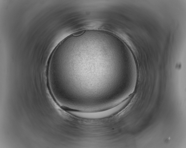 X0000097601434200803071421