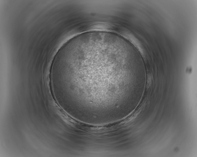 X0000097601435200803071421