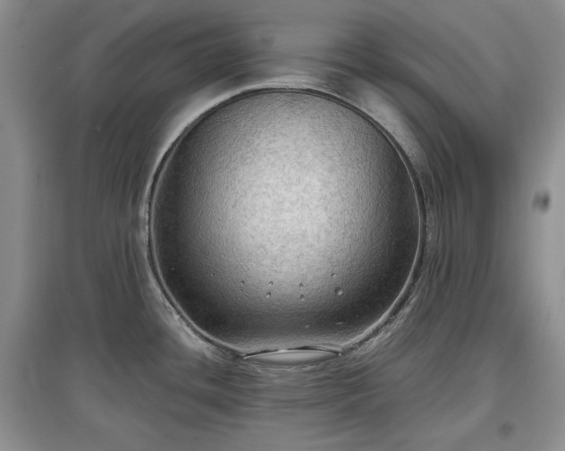 X0000097601436200803071421