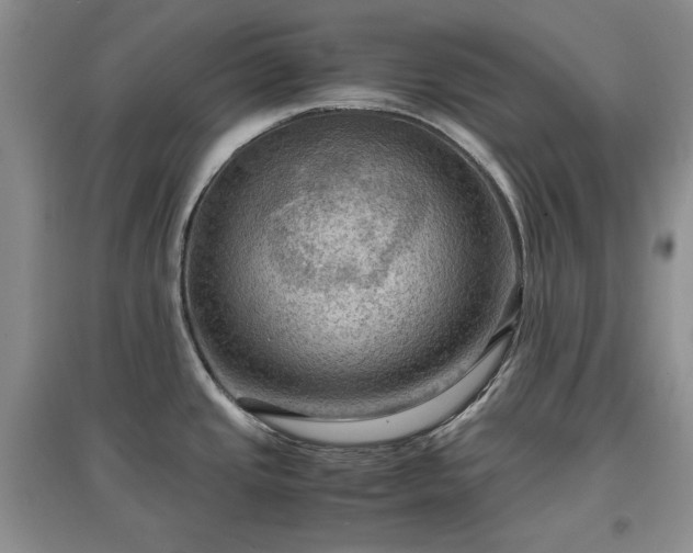 X0000097601437200803071421