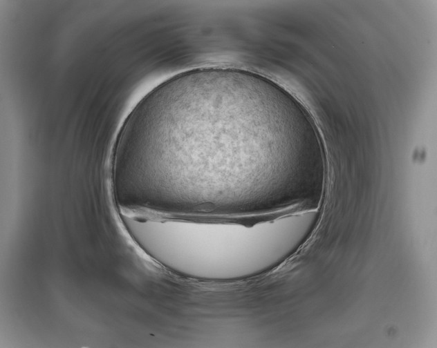 X0000097601440200803071421