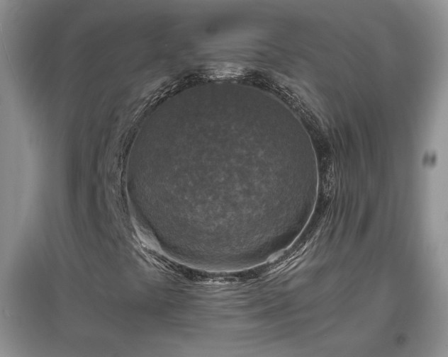 X0000097601441200803071420