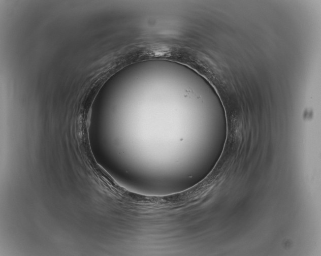 X0000097601442200803071420