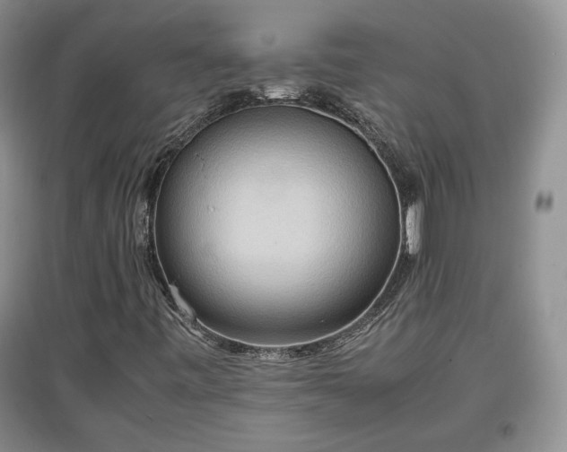 X0000097601443200803071420