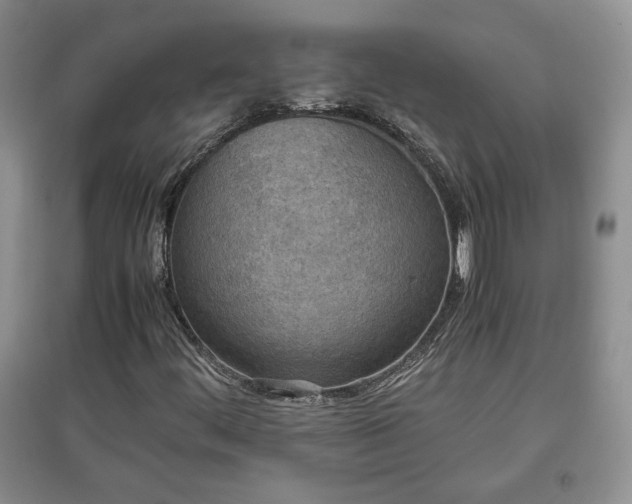 X0000097601444200803071420