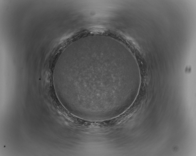 X0000097601445200803071420