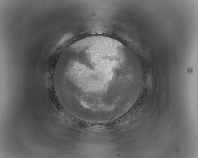 X0000097601446200803071420