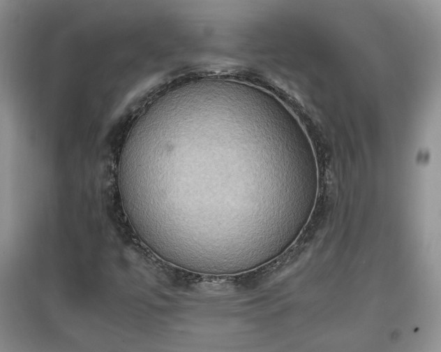 X0000097601447200803071420