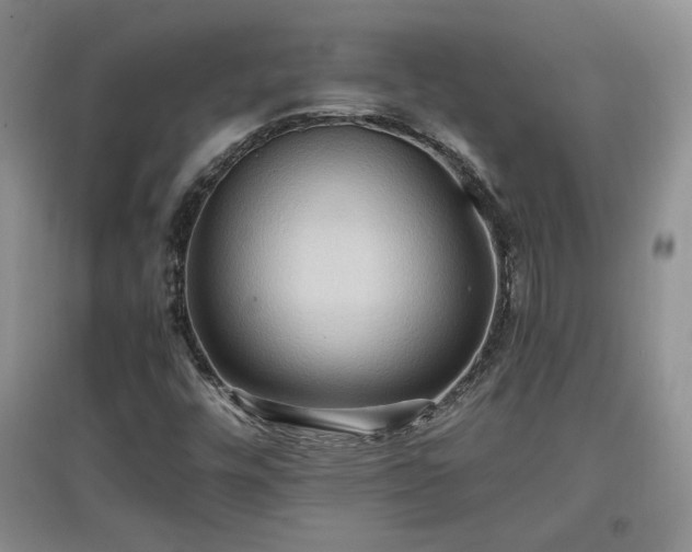 X0000097601448200803071420