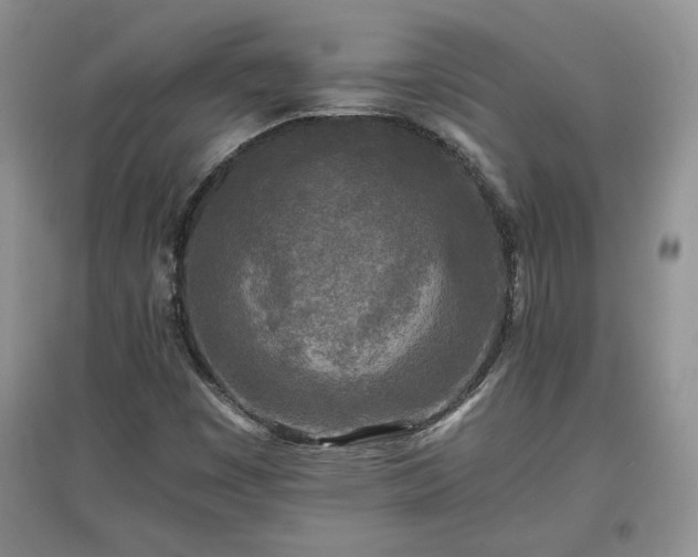 X0000097601449200803071420