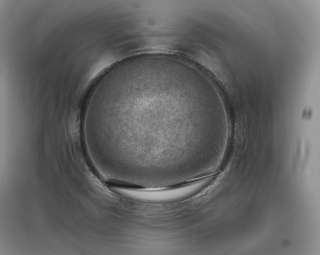 X0000097601450200803071420
