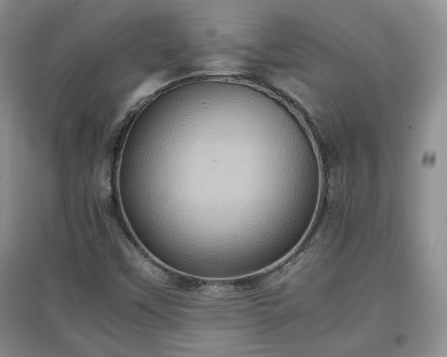 X0000097601451200803071420