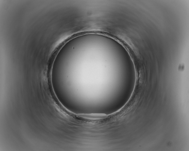 X0000097601452200803071420
