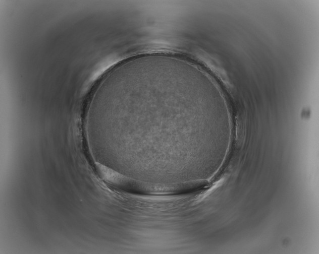 X0000097601453200803071420