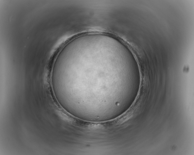 X0000097601454200803071420