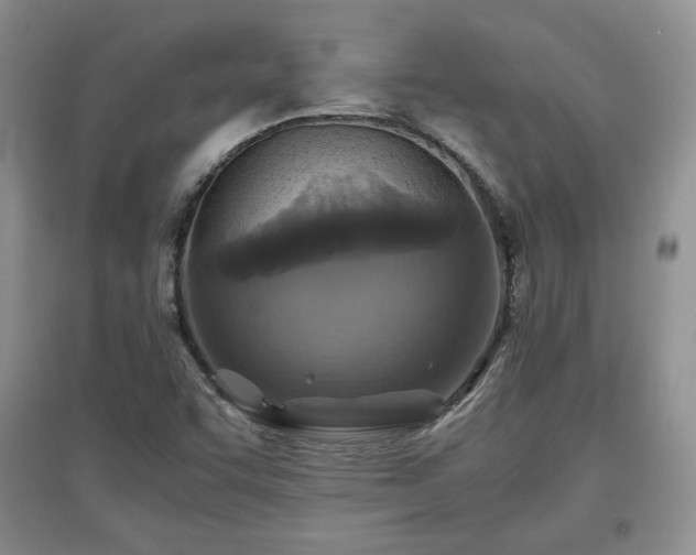 X0000097601455200803071420