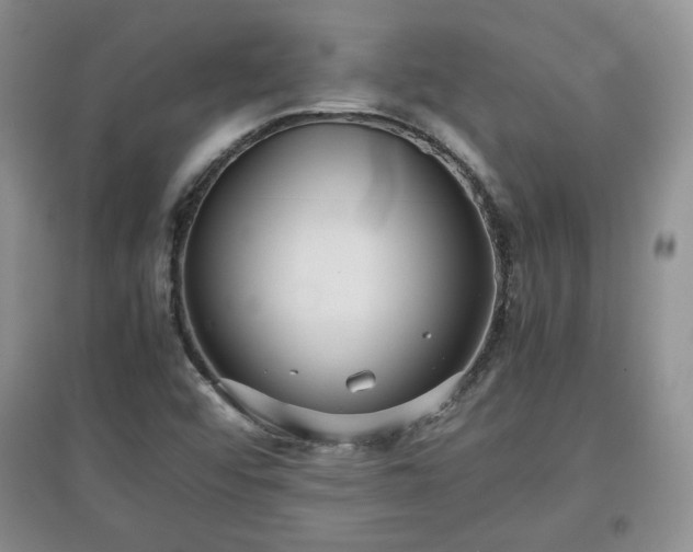 X0000097601456200803071420