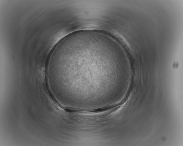 X0000097601457200803071420