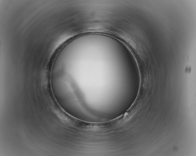 X0000097601458200803071420