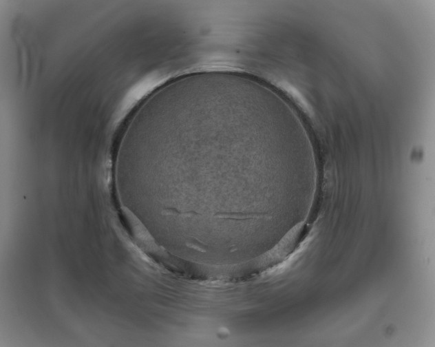 X0000097601461200803071420