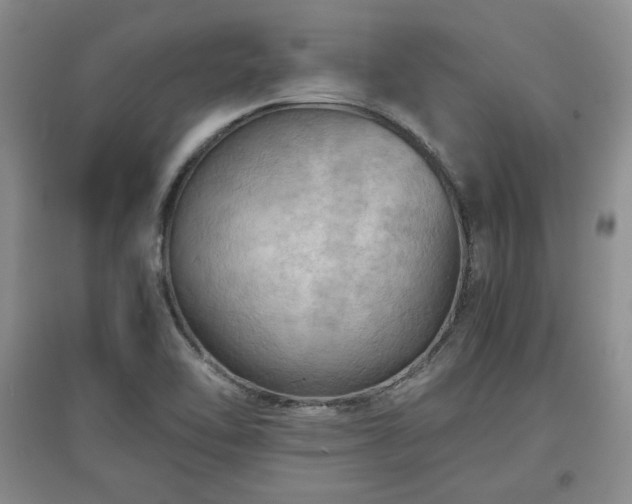 X0000097601462200803071420