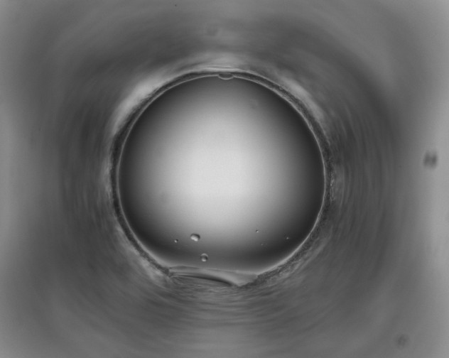 X0000097601464200803071420