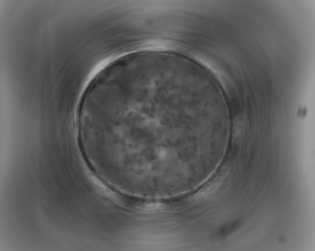 X0000097601467200803071420