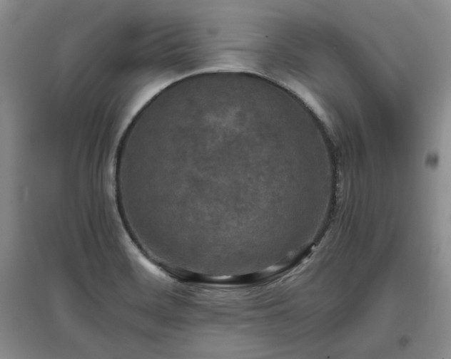 X0000097601468200803071420