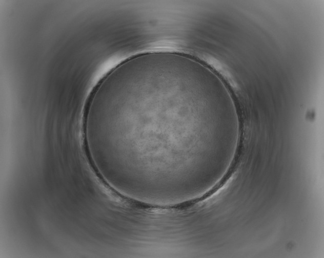 X0000097601469200803071420