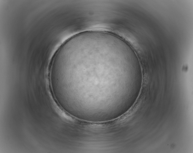 X0000097601470200803071420