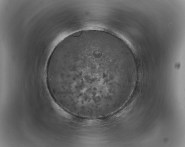 X0000097601471200803071420