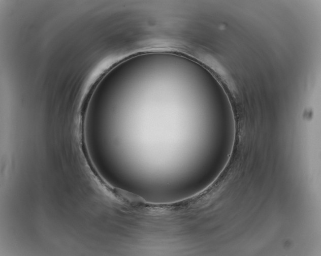 X0000097601472200803071420