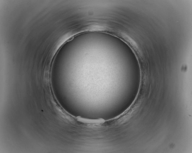 X0000097601473200803071420