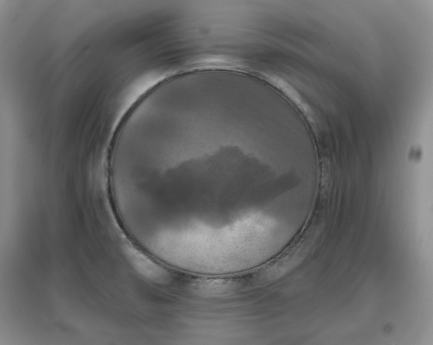 X0000097601474200803071420