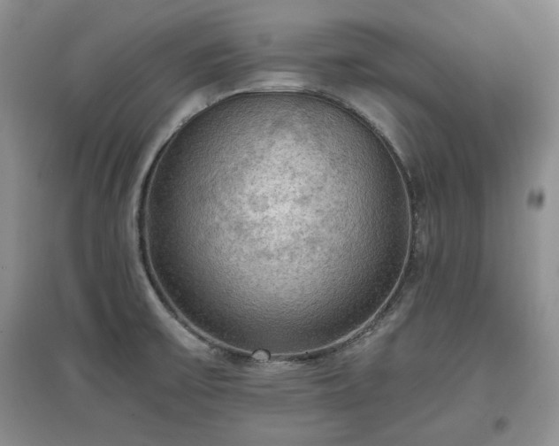 X0000097601475200803071420