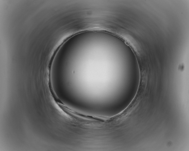 X0000097601476200803071420