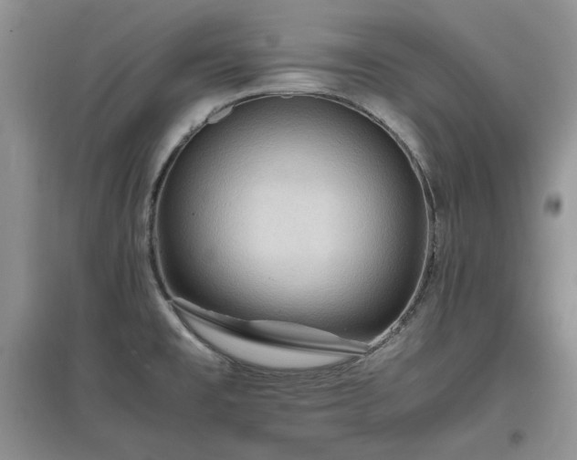 X0000097601477200803071420