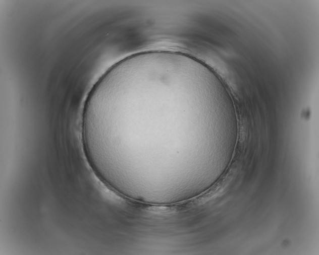 X0000097601478200803071420