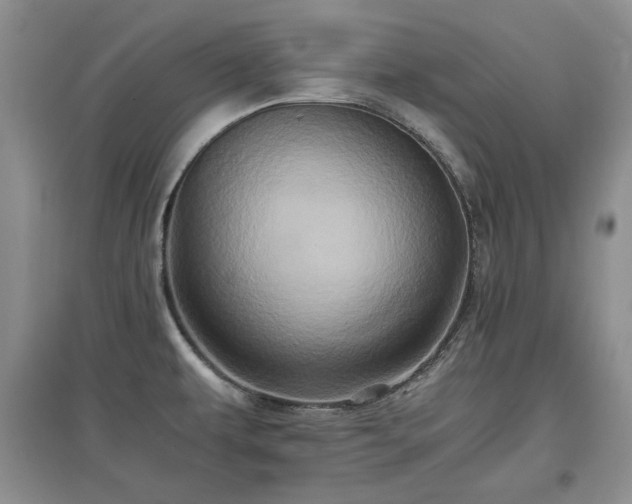 X0000097601479200803071420