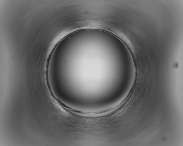 X0000097601480200803071420