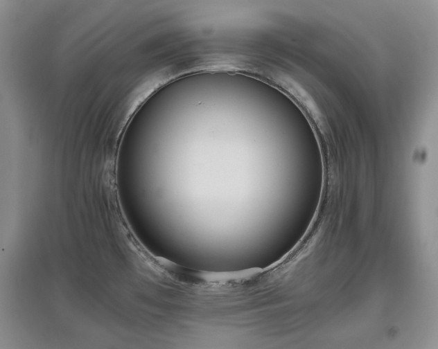 X0000097601481200803071420