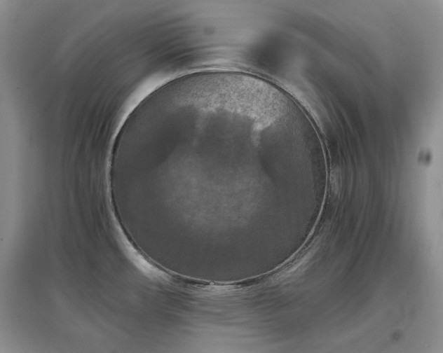 X0000097601482200803071419