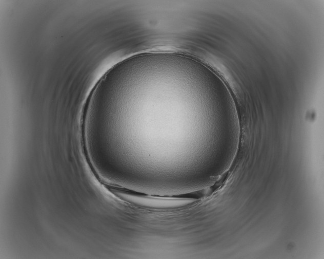 X0000097601483200803071419