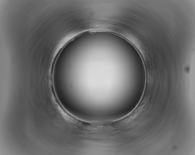 X0000097601485200803071419