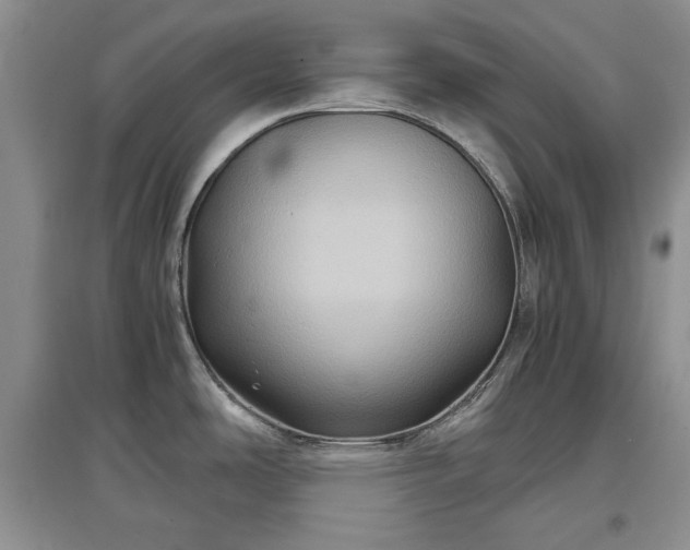 X0000097601486200803071419