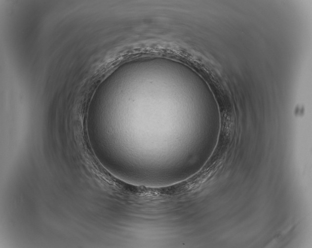 X0000097601489200803071419