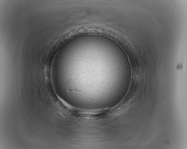 X0000097601490200803071419