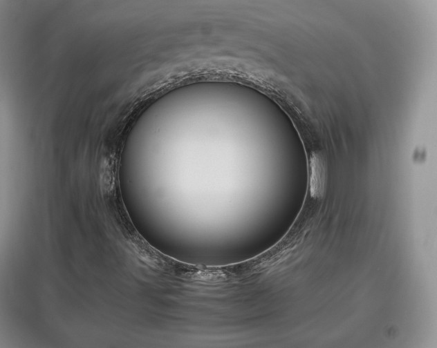 X0000097601491200803071419